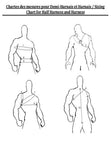 Assassin Half-Harness