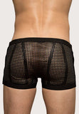 Grecco Leather Shorts- Perforated Mesh